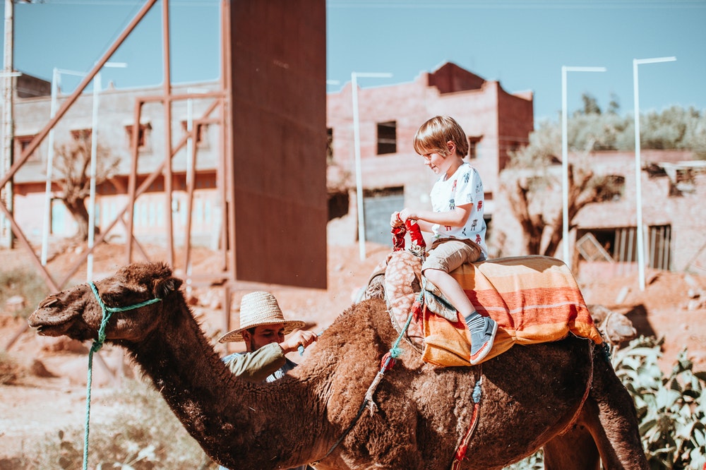 Roam the sun-bathed souks of Tangier